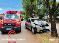 Motorista bate em árvore, recusa atendimento e é preso pela PM por embriaguês ao volante em Foz do Iguaçu Motorista bate em árvore, recusa atendimento e é preso pela PM por embriaguês ao volante em Foz do Iguaçu