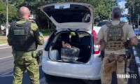 PF e PM apreendem cigarros eletrônicos com THC em Foz do Iguaçu PF e PM apreendem cigarros eletrônicos com THC em Foz do Iguaçu