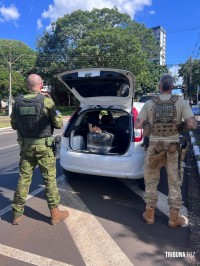 PF e PM apreendem cigarros eletrônicos com THC em Foz do Iguaçu PF e PM apreendem cigarros eletrônicos com THC em Foz do Iguaçu