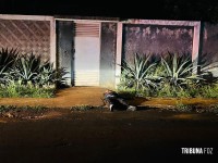 Troca de tiros com a PM durante roubo termina com um morto, um ferido e outro preso no Jardim Dona Fátima Troca de tiros com a PM durante roubo termina com um morto, um ferido e outro preso no Jardim Dona Fátima