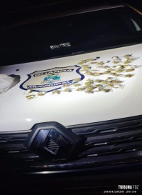 Tentativa de fuga da Guarda Municipal termina em prisão e apreensão de drogas no Bairro Três Lagoas Tentativa de fuga da Guarda Municipal termina em prisão e apreensão de drogas no Bairro Três Lagoas