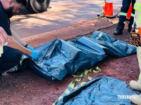 Casal de idosos morre após colidir veículo contra árvore na PR-497 em São Miguel do Iguaçu Casal de idosos morre após colidir veículo contra árvore na PR-497 em São Miguel do Iguaçu