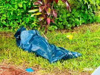 Casal de idosos morre após colidir veículo contra árvore na PR-497 em São Miguel do Iguaçu Casal de idosos morre após colidir veículo contra árvore na PR-497 em São Miguel do Iguaçu