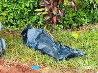 Casal de idosos morre após colidir veículo contra árvore na PR-497 em São Miguel do Iguaçu Casal de idosos morre após colidir veículo contra árvore na PR-497 em São Miguel do Iguaçu