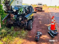 Casal de idosos morre após colidir veículo contra árvore na PR-497 em São Miguel do Iguaçu Casal de idosos morre após colidir veículo contra árvore na PR-497 em São Miguel do Iguaçu