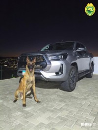 BPFRON recupera caminhonete com alerta de furto em Santo Antônio do Sudoeste BPFRON recupera caminhonete com alerta de furto em Santo Antônio do Sudoeste