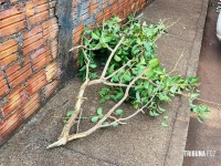 Carreta furtada é recuperada após rastro de destruição na Vila Miranda em Foz do Iguaçu Carreta furtada é recuperada após rastro de destruição na Vila Miranda em Foz do Iguaçu