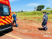 Trabalhador cai em poço de silo e morre no Paraguai Trabalhador cai em poço de silo e morre no Paraguai