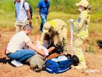 Trabalhador cai em poço de silo e morre no Paraguai Trabalhador cai em poço de silo e morre no Paraguai