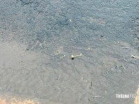 Delegacia de Homicídios e Policia Cientifica fazer perícia em caminhonete perseguida e metralhada no Bairro Três Lagoas Delegacia de Homicídios e Policia Cientifica fazer perícia em caminhonete perseguida e metralhada no Bairro Três Lagoas