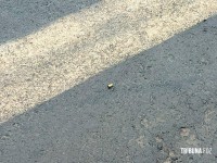 Delegacia de Homicídios e Policia Cientifica fazer perícia em caminhonete perseguida e metralhada no Bairro Três Lagoas Delegacia de Homicídios e Policia Cientifica fazer perícia em caminhonete perseguida e metralhada no Bairro Três Lagoas