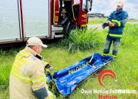 Cadela é salva pelos bombeiros na Av. Perimetral Leste Cadela é salva pelos bombeiros na Av. Perimetral Leste