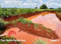 Cadela é salva pelos bombeiros na Av. Perimetral Leste Cadela é salva pelos bombeiros na Av. Perimetral Leste