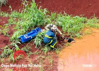 Cadela é salva pelos bombeiros na Av. Perimetral Leste Cadela é salva pelos bombeiros na Av. Perimetral Leste