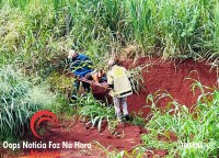 Cadela é salva pelos bombeiros na Av. Perimetral Leste Cadela é salva pelos bombeiros na Av. Perimetral Leste