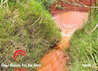Cadela é salva pelos bombeiros na Av. Perimetral Leste Cadela é salva pelos bombeiros na Av. Perimetral Leste