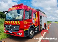 Cadela é salva pelos bombeiros na Av. Perimetral Leste Cadela é salva pelos bombeiros na Av. Perimetral Leste