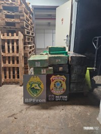 PF e PMPR apreendem 396 Kg de maconha em embarcação no lago de Itaipu PF e PMPR apreendem 396 Kg de maconha em embarcação no lago de Itaipu