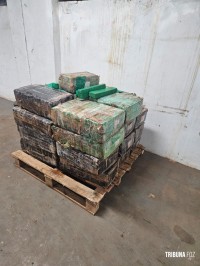 PF e PMPR apreendem 396 Kg de maconha em embarcação no lago de Itaipu PF e PMPR apreendem 396 Kg de maconha em embarcação no lago de Itaipu