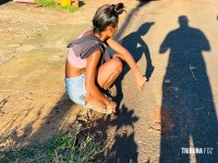 Domingo de Páscoa deixa mulher ferida após disparos de arma de fogo em Foz do Iguaçu Domingo de Páscoa deixa mulher ferida após disparos de arma de fogo em Foz do Iguaçu