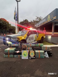 BPFRON e PF apreendem 931 Kg de maconha e 436 comprimidos de Ecstasy em Santa Helena BPFRON e PF apreendem 931 Kg de maconha e 436 comprimidos de Ecstasy em Santa Helena