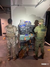 BPFRON e PF apreendem 931 Kg de maconha e 436 comprimidos de Ecstasy em Santa Helena BPFRON e PF apreendem 931 Kg de maconha e 436 comprimidos de Ecstasy em Santa Helena