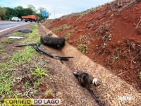 Acidente na PR-495 deixa dois feridos após colisão entre carro e caminhão em Santa Helena Acidente na PR-495 deixa dois feridos após colisão entre carro e caminhão em Santa Helena