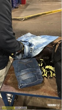 Homem é preso com 15 Kg de cabelo humano na Ponte da Amizade Homem é preso com 15 Kg de cabelo humano na Ponte da Amizade