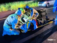 Motociclista fica ferido após colidir com cavalinho (potro) na perimetral leste; animal morreu no local Motociclista fica ferido após colidir com cavalinho (potro) na perimetral leste; animal morreu no local