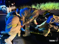 Motociclista fica ferido após colidir com cavalinho (potro) na perimetral leste; animal morreu no local Motociclista fica ferido após colidir com cavalinho (potro) na perimetral leste; animal morreu no local