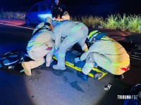 Motociclista fica ferido após colidir com cavalinho (potro) na perimetral leste; animal morreu no local Motociclista fica ferido após colidir com cavalinho (potro) na perimetral leste; animal morreu no local