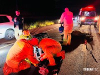 Motociclista fica ferido após colidir com cavalinho (potro) na perimetral leste; animal morreu no local Motociclista fica ferido após colidir com cavalinho (potro) na perimetral leste; animal morreu no local