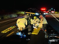 Motociclista fica ferido após colidir com cavalinho (potro) na perimetral leste; animal morreu no local Motociclista fica ferido após colidir com cavalinho (potro) na perimetral leste; animal morreu no local