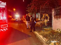Homem é executado a tiros no Jardim Tarobá Homem é executado a tiros no Jardim Tarobá
