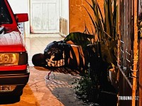 Homem é executado a tiros no Jardim Tarobá Homem é executado a tiros no Jardim Tarobá