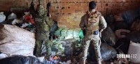 PF e PM apreendem 795 Kg de maconha em imóvel abandonado em Foz do Iguaçu PF e PM apreendem 795 Kg de maconha em imóvel abandonado em Foz do Iguaçu