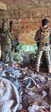 PF e PM apreendem 795 Kg de maconha em imóvel abandonado em Foz do Iguaçu PF e PM apreendem 795 Kg de maconha em imóvel abandonado em Foz do Iguaçu