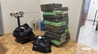 Caminhonetes usadas para contrabandear maconha para o Brasil é apreendido com 301,5 Kg de maconha em Ciudad Del Este Caminhonetes usadas para contrabandear maconha para o Brasil é apreendido com 301,5 Kg de maconha em Ciudad Del Este