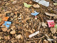 Adolescente de 15 anos é encontrada morta em terreno baldio no Bairro Portal da Foz em Foz do Iguaçu Adolescente de 15 anos é encontrada morta em terreno baldio no Bairro Portal da Foz em Foz do Iguaçu