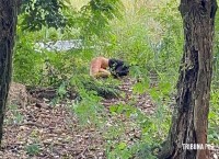 Adolescente de 15 anos é encontrada morta em terreno baldio no Bairro Portal da Foz em Foz do Iguaçu Adolescente de 15 anos é encontrada morta em terreno baldio no Bairro Portal da Foz em Foz do Iguaçu