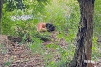 Adolescente de 15 anos é encontrada morta em terreno baldio no Bairro Portal da Foz em Foz do Iguaçu Adolescente de 15 anos é encontrada morta em terreno baldio no Bairro Portal da Foz em Foz do Iguaçu