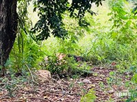 Adolescente de 15 anos é encontrada morta em terreno baldio no Bairro Portal da Foz em Foz do Iguaçu Adolescente de 15 anos é encontrada morta em terreno baldio no Bairro Portal da Foz em Foz do Iguaçu
