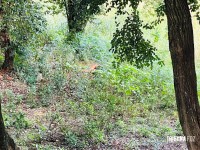 Adolescente de 15 anos é encontrada morta em terreno baldio no Bairro Portal da Foz em Foz do Iguaçu Adolescente de 15 anos é encontrada morta em terreno baldio no Bairro Portal da Foz em Foz do Iguaçu