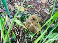 Adolescente de 15 anos é encontrada morta em terreno baldio no Bairro Portal da Foz em Foz do Iguaçu Adolescente de 15 anos é encontrada morta em terreno baldio no Bairro Portal da Foz em Foz do Iguaçu