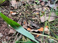 Adolescente de 15 anos é encontrada morta em terreno baldio no Bairro Portal da Foz em Foz do Iguaçu Adolescente de 15 anos é encontrada morta em terreno baldio no Bairro Portal da Foz em Foz do Iguaçu
