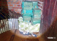 Polícia apreende maconha "abandonada" em moradia no bairro Remansito em Ciudad Del Este Polícia apreende maconha "abandonada" em moradia no bairro Remansito em Ciudad Del Este