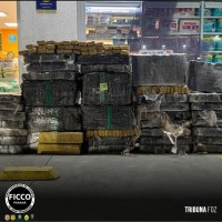 FICCO/PR e forças de segurança apreendem quase 700 Kg de maconha em ação integrada entre Paraná e Santa Catarina FICCO/PR e forças de segurança apreendem quase 700 Kg de maconha em ação integrada entre Paraná e Santa Catarina
