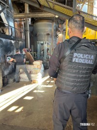 Delegacia da Policia Federal de Foz do Iguaçu incinera mais de 10 toneladas de drogas Delegacia da Policia Federal de Foz do Iguaçu incinera mais de 10 toneladas de drogas