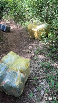PF e PM apreendem maconha após travessia clandestina no Rio Paraná PF e PM apreendem maconha após travessia clandestina no Rio Paraná