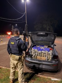 PRF apreende quase meia tonelada de maconha em veículo clonado após fuga na BR-277 em Santa Terezinha de Itaipu PRF apreende quase meia tonelada de maconha em veículo clonado após fuga na BR-277 em Santa Terezinha de Itaipu